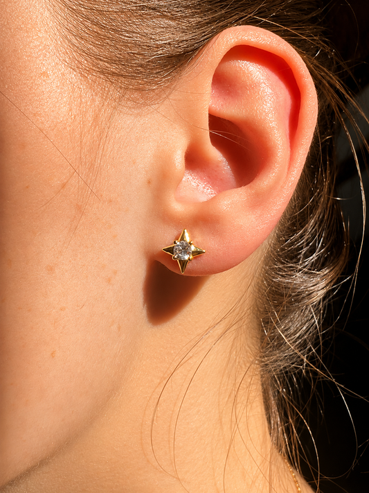 Puces d’oreilles Sirius