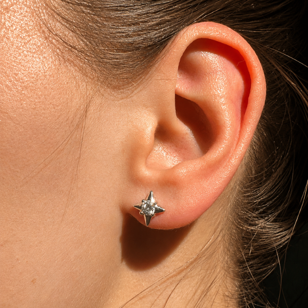 Puces d’oreilles Sirius