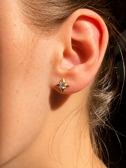 Puces d’oreilles Sirius